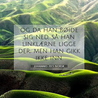 Picture 07 - Johannes 20:5 NORSK - og da han bøide sig ned, så han linklærne - Bible Verse Picture