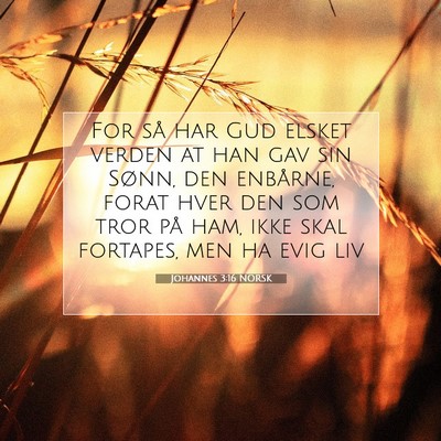 Picture 07 - Johannes 3:16 NORSK - For så har Gud elsket verden at han gav sin - Bible Verse Picture