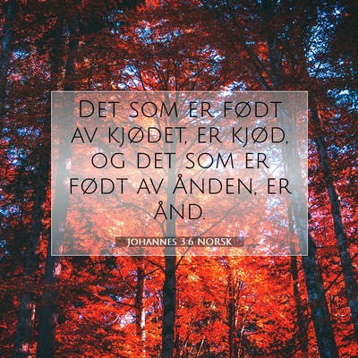 Picture 07 - Johannes 3:6 NORSK - Det som er født av kjødet, er kjød, og det som - Bible Verse Picture