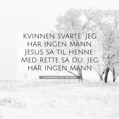Picture 07 - Johannes 4:17 NORSK - Kvinnen svarte: Jeg har ingen mann. Jesus sa til - Bible Verse Picture