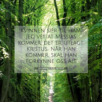 Picture 07 - Johannes 4:25 NORSK - Kvinnen sier til ham: Jeg vet at Messias kommer, - Bible Verse Picture