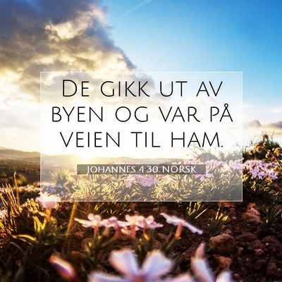 Picture 07 - Johannes 4:30 NORSK - De gikk ut av byen og var på veien til - Bible Verse Picture