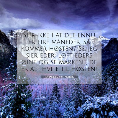 Picture 07 - Johannes 4:35 NORSK - Sier ikke I at det ennu er fire måneder, så - Bible Verse Picture