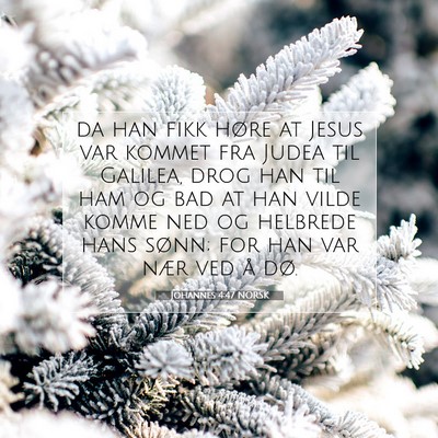 Picture 07 - Johannes 4:47 NORSK - da han fikk høre at Jesus var kommet fra Judea - Bible Verse Picture