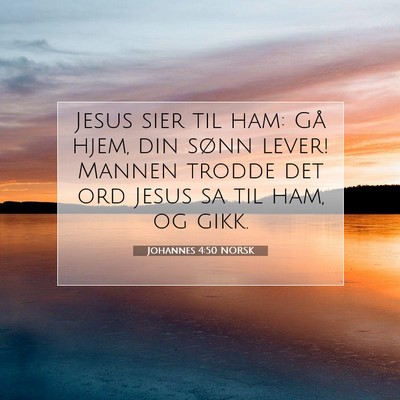 Picture 07 - Johannes 4:50 NORSK - Jesus sier til ham: Gå hjem, din sønn lever! - Bible Verse Picture