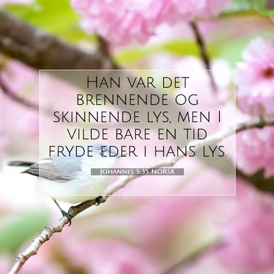 Picture 07 - Johannes 5:35 NORSK - Han var det brennende og skinnende lys, men I - Bible Verse Picture