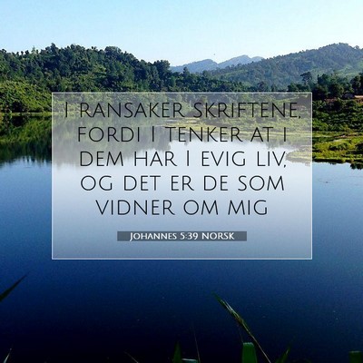 Picture 07 - Johannes 5:39 NORSK - I ransaker skriftene, fordi I tenker at i dem har - Bible Verse Picture