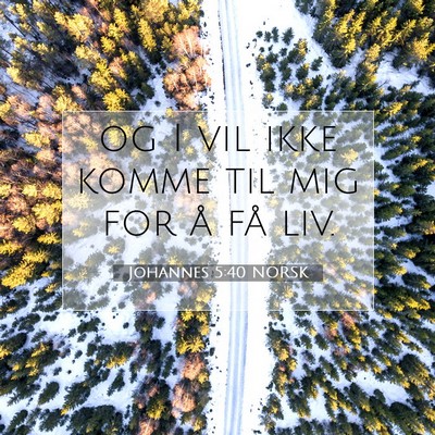 Picture 07 - Johannes 5:40 NORSK - og I vil ikke komme til mig for å få - Bible Verse Picture