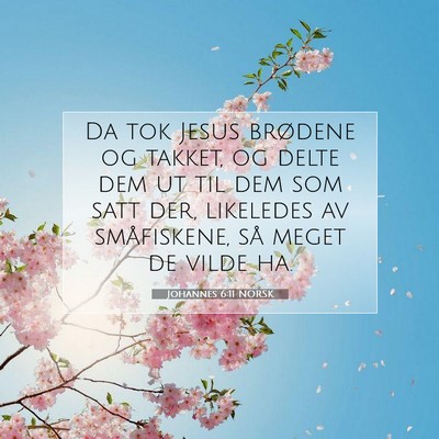 Picture 07 - Johannes 6:11 NORSK - Da tok Jesus brødene og takket, og delte dem ut - Bible Verse Picture