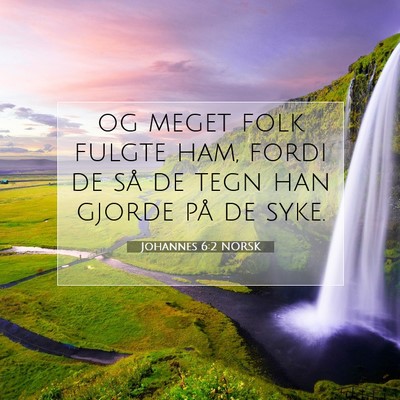 Picture 07 - Johannes 6:2 NORSK - og meget folk fulgte ham, fordi de så de tegn - Bible Verse Picture