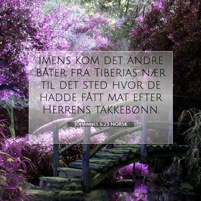 Picture 07 - Johannes 6:23 NORSK - Imens kom det andre båter fra Tiberias nær til - Bible Verse Picture