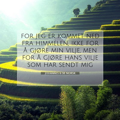 Picture 07 - Johannes 6:38 NORSK - for jeg er kommet ned fra himmelen, ikke for å - Bible Verse Picture