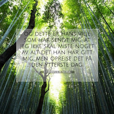 Picture 07 - Johannes 6:39 NORSK - og dette er hans vilje som har sendt mig, at jeg - Bible Verse Picture