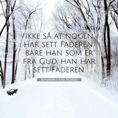 Picture 07 - Johannes 6:46 NORSK - Ikke så at nogen har sett Faderen; bare han som - Bible Verse Picture