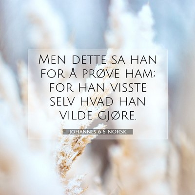 Picture 07 - Johannes 6:6 NORSK - Men dette sa han for å prøve ham; for han - Bible Verse Picture