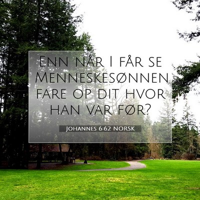 Picture 07 - Johannes 6:62 NORSK - Enn når I får se Menneskesønnen fare op dit - Bible Verse Picture