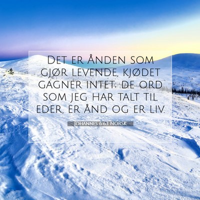 Picture 07 - Johannes 6:63 NORSK - Det er Ånden som gjør levende, kjødet gagner - Bible Verse Picture