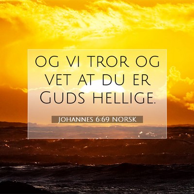 Picture 07 - Johannes 6:69 NORSK - og vi tror og vet at du er Guds - Bible Verse Picture