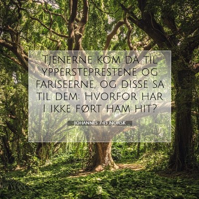 Picture 07 - Johannes 7:45 NORSK - Tjenerne kom da til yppersteprestene og - Bible Verse Picture