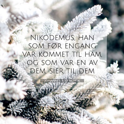 Picture 07 - Johannes 7:50 NORSK - Nikodemus, han som før engang var kommet til - Bible Verse Picture