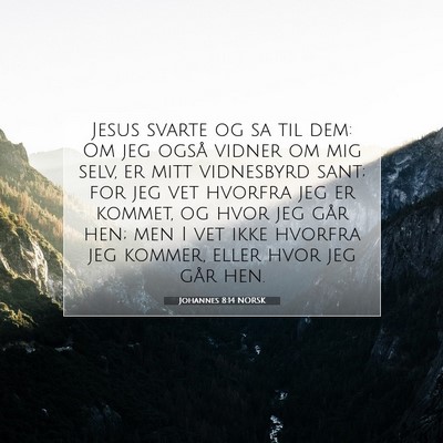 Picture 07 - Johannes 8:14 NORSK - Jesus svarte og sa til dem: Om jeg også vidner - Bible Verse Picture