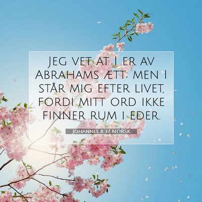 Picture 07 - Johannes 8:37 NORSK - Jeg vet at I er av Abrahams ætt; men I står mig - Bible Verse Picture