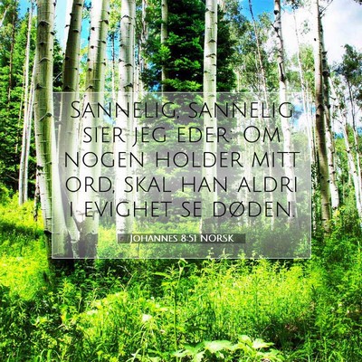 Picture 07 - Johannes 8:51 NORSK - Sannelig, sannelig sier jeg eder: Om nogen holder - Bible Verse Picture