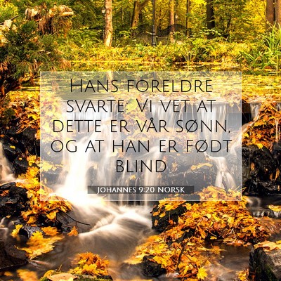 Picture 07 - Johannes 9:20 NORSK - Hans foreldre svarte: Vi vet at dette er vår - Bible Verse Picture