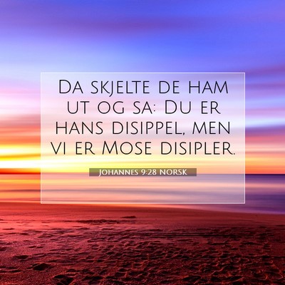 Picture 07 - Johannes 9:28 NORSK - Da skjelte de ham ut og sa: Du er hans disippel, - Bible Verse Picture