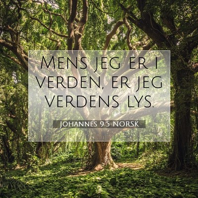 Picture 07 - Johannes 9:5 NORSK - Mens jeg er i verden, er jeg verdens - Bible Verse Picture