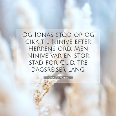 Picture 07 - Jona 3:3 NORSK - Og Jonas stod op og gikk til Ninive efter Herrens - Bible Verse Picture