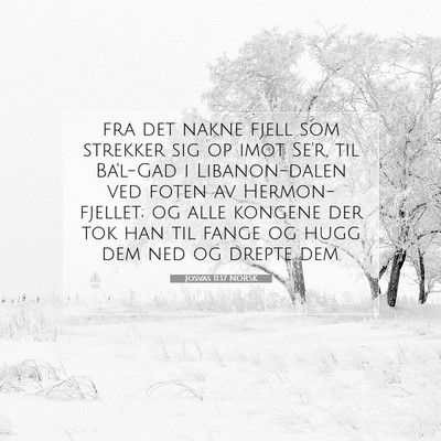 Picture 07 - Josvas 11:17 NORSK - fra det nakne fjell som strekker sig op imot - Bible Verse Picture
