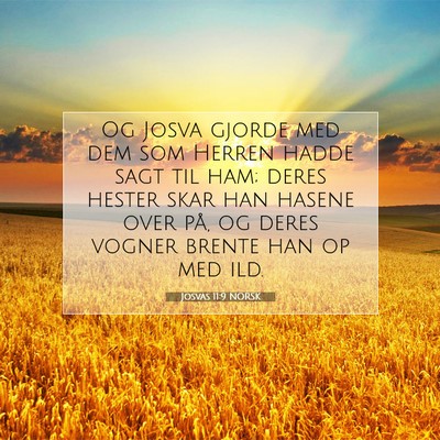 Picture 07 - Josvas 11:9 NORSK - Og Josva gjorde med dem som Herren hadde sagt til - Bible Verse Picture