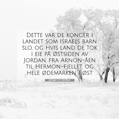 Picture 07 - Josvas 12:1 NORSK - Dette var de konger i landet som Israels barn - Bible Verse Picture