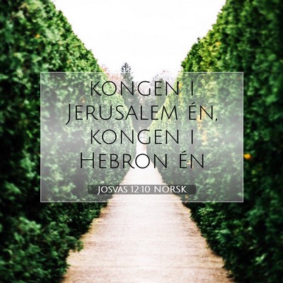 Picture 07 - Josvas 12:10 NORSK - kongen i Jerusalem én, kongen i Hebron - Bible Verse Picture