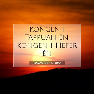 Picture 07 - Josvas 12:17 NORSK - kongen i Tappuah én, kongen i Hefer - Bible Verse Picture