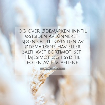 Picture 07 - Josvas 12:3 NORSK - og over ødemarken inntil østsiden av - Bible Verse Picture