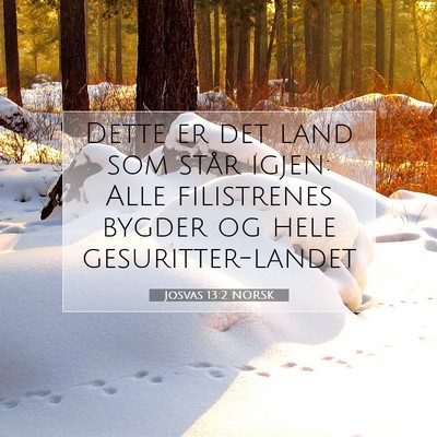 Picture 07 - Josvas 13:2 NORSK - Dette er det land som står igjen: Alle - Bible Verse Picture
