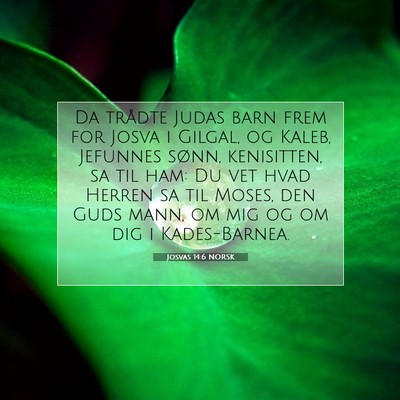 Picture 07 - Josvas 14:6 NORSK - Da trådte Judas barn frem for Josva i Gilgal, og - Bible Verse Picture