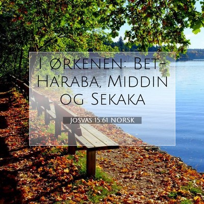 Picture 07 - Josvas 15:61 NORSK - I ørkenen: Bet-Ha'raba, Middin og - Bible Verse Picture
