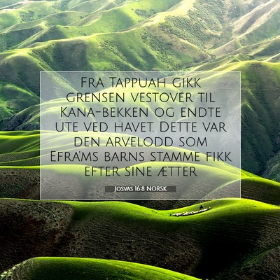 Picture 07 - Josvas 16:8 NORSK - Fra Tappuah gikk grensen vestover til Kana-bekken - Bible Verse Picture