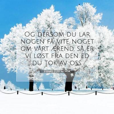 Picture 07 - Josvas 2:20 NORSK - Og dersom du lar nogen få vite noget om vårt - Bible Verse Picture