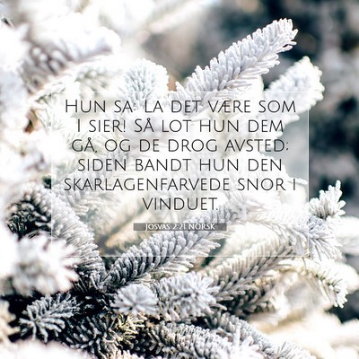 Picture 07 - Josvas 2:21 NORSK - Hun sa: La det være som I sier! Så lot hun dem - Bible Verse Picture