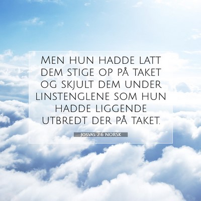 Picture 07 - Josvas 2:6 NORSK - Men hun hadde latt dem stige op på taket og - Bible Verse Picture