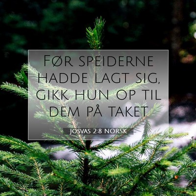 Picture 07 - Josvas 2:8 NORSK - Før speiderne hadde lagt sig, gikk hun op til - Bible Verse Picture