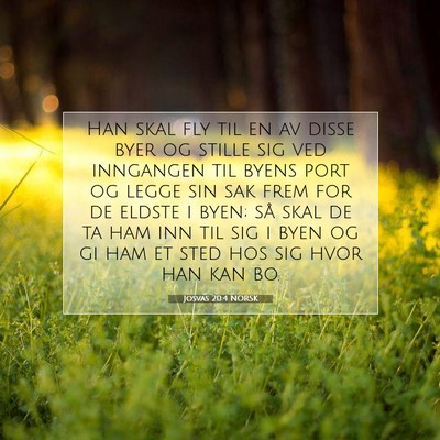 Picture 07 - Josvas 20:4 NORSK - Han skal fly til en av disse byer og stille sig - Bible Verse Picture