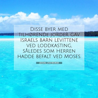 Picture 07 - Josvas 21:8 NORSK - Disse byer med tilhørende jorder gav Israels - Bible Verse Picture