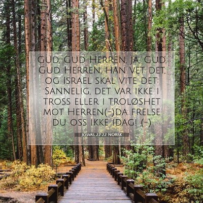 Picture 07 - Josvas 22:22 NORSK - Gud, Gud Herren, ja, Gud, Gud Herren, han vet - Bible Verse Picture