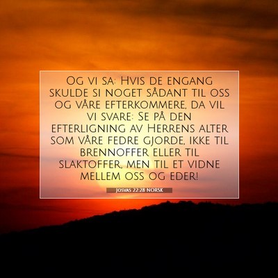 Picture 07 - Josvas 22:28 NORSK - Og vi sa: Hvis de engang skulde si noget sådant - Bible Verse Picture