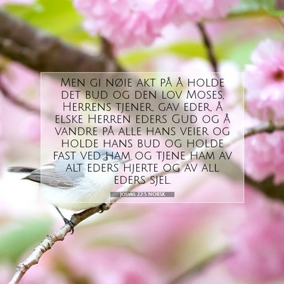 Picture 07 - Josvas 22:5 NORSK - Men gi nøie akt på å holde det bud og den lov - Bible Verse Picture